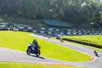 Lower Group Blue Bikes